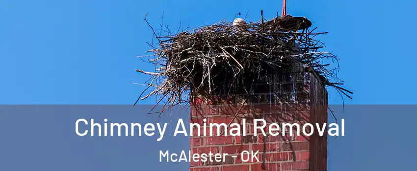  Chimney Animal Removal McAlester - OK