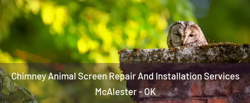 Chimney Animal Screen Repair And Installation Services McAlester - OK