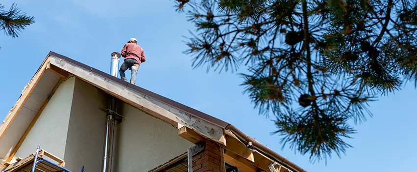 Birds Removal Contractors from Chimney in McAlester, OK
