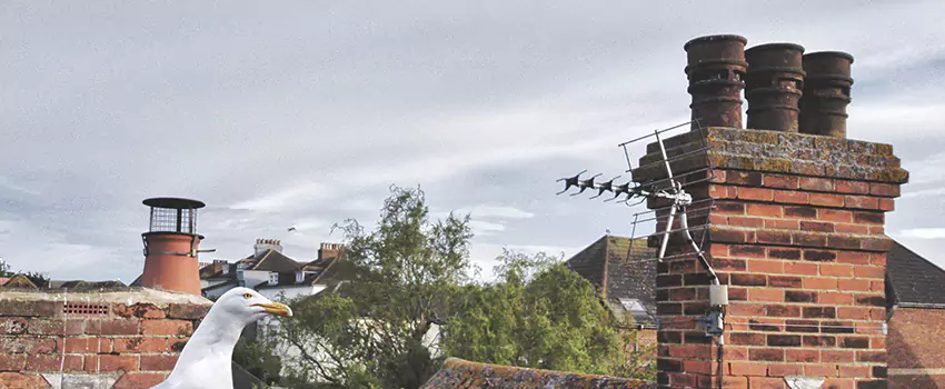 Chimney Cleaning And Restoration in McAlester, Oklahoma
